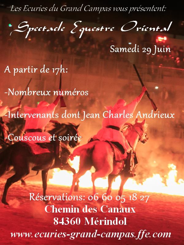 Affiche Spectacle équestre Oriental